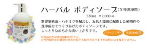 ハーバルボディソープ